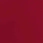Deep red lacquered color swatch, RAL 3003, matte finish with subtle texture, uniform saturated hue, centered text identification.